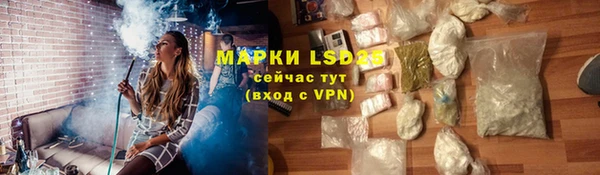 прущие грибы Заводоуковск