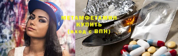 прущие грибы Заводоуковск
