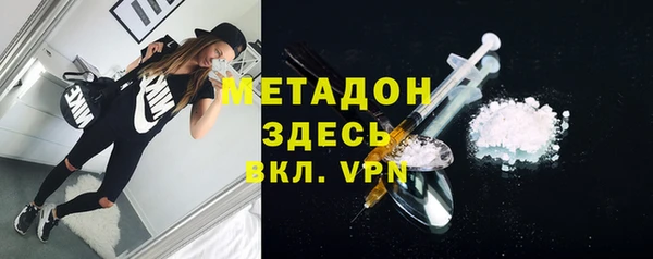 прущие грибы Заводоуковск