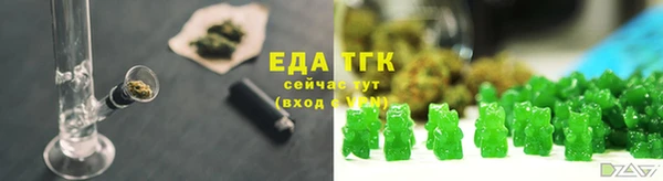 прущие грибы Заводоуковск