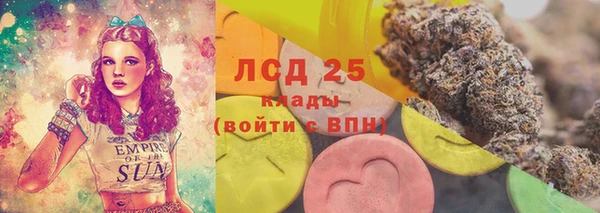 прущие грибы Заводоуковск